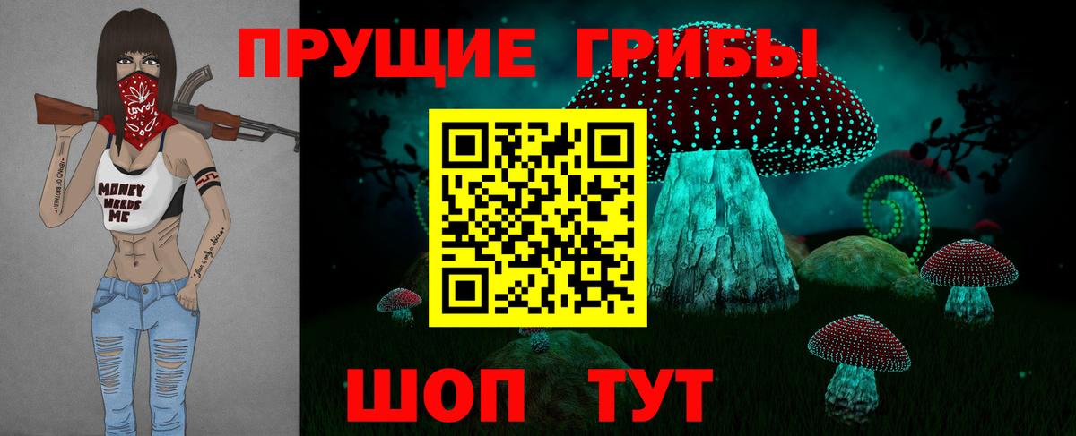 Галлюциногенные грибы Cubensis Карачаевск