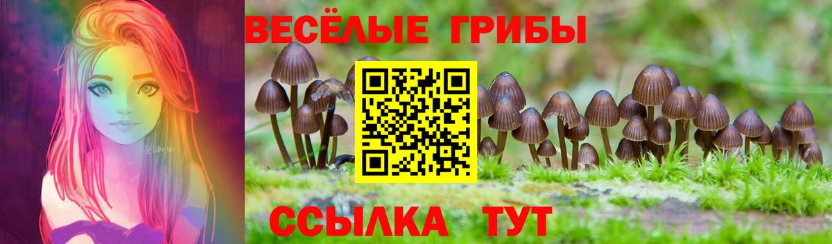 Карачаевск  Псилоцибиновые грибы MAGIC MUSHROOMS  даркнет сайт  Вход с VPN  Псилоцибиновые грибы Cubensis 